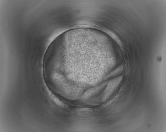 X0000090931431200708201818