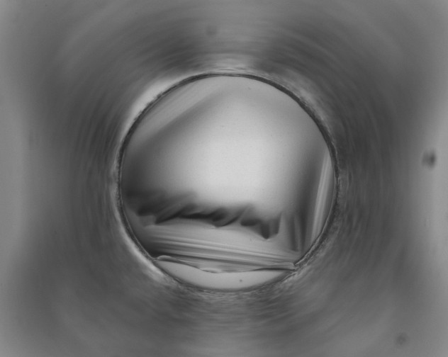 X0000090931432200708201818