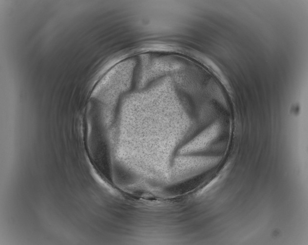 X0000090931433200708201818