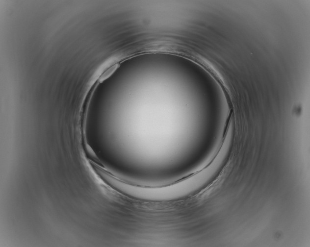 X0000090931434200708201818