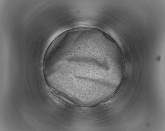 X0000090931435200708201818