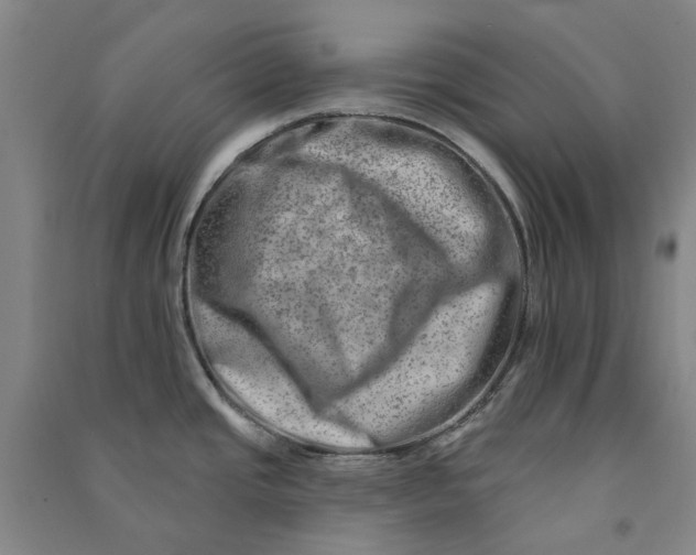 X0000090931437200708201818