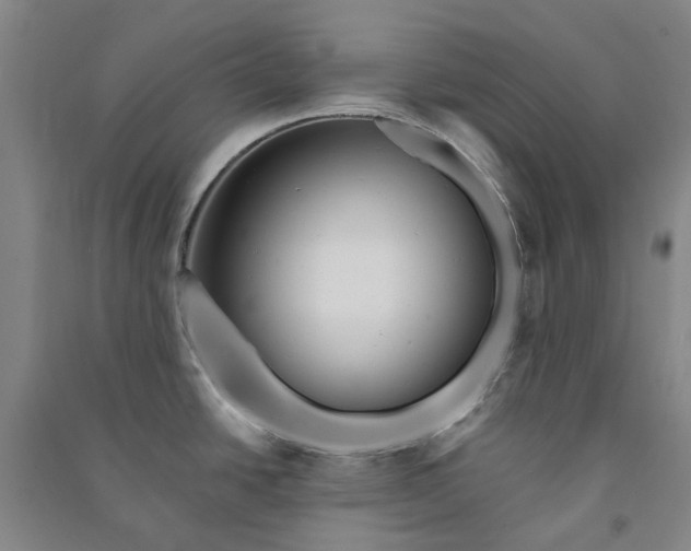 X0000090931438200708201818