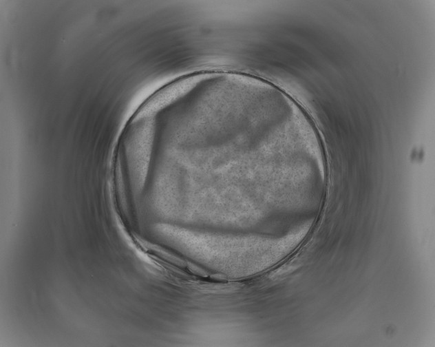 X0000090931440200708201818