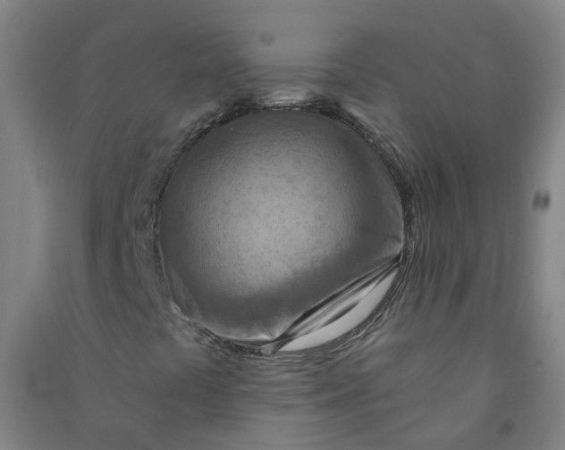 X0000090931441200708201818