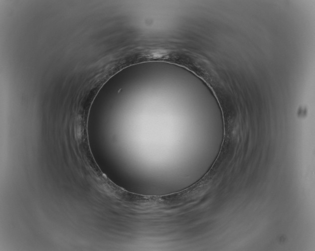 X0000090931442200708201818