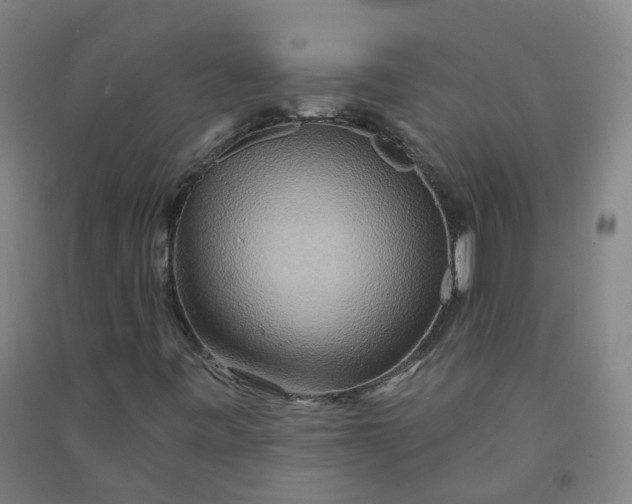 X0000090931443200708201818