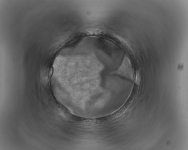 X0000090931444200708201818