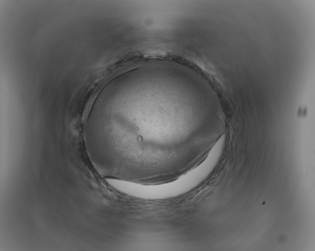 X0000090931445200708201818