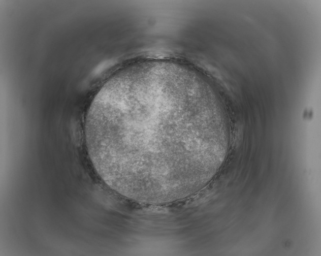 X0000090931446200708201818