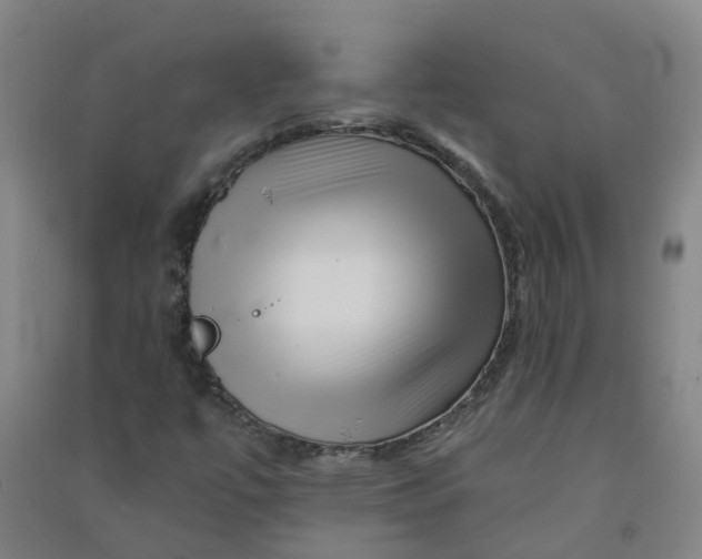 X0000090931447200708201818