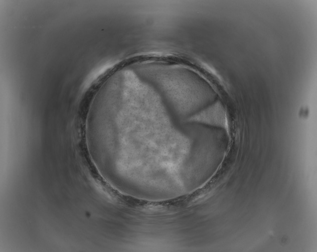 X0000090931448200708201818