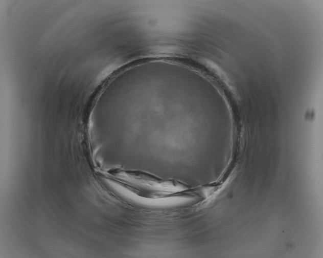 X0000090931449200708201818