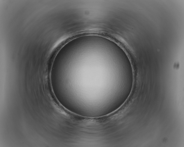 X0000090931450200708201818