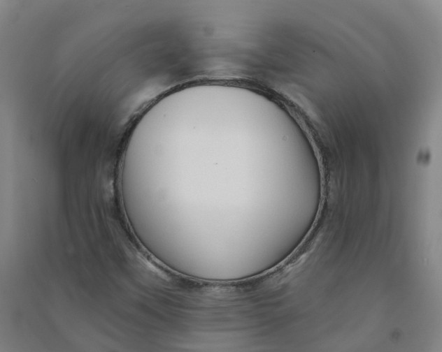 X0000090931451200708201818