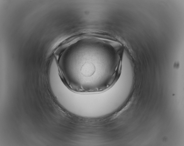 X0000090931453200708201818