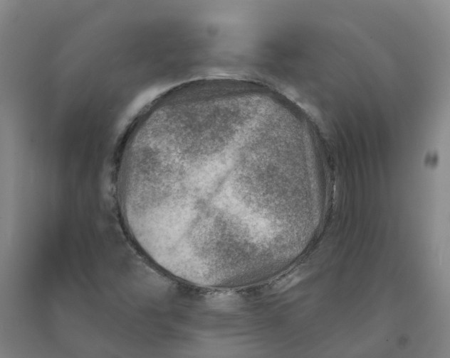 X0000090931454200708201818