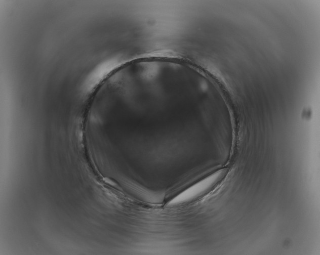 X0000090931455200708201818