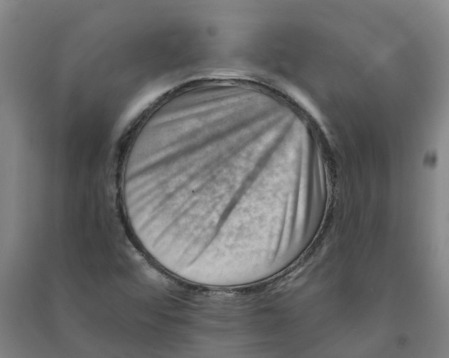 X0000090931456200708201818