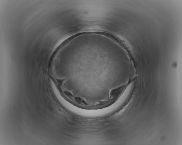 X0000090931457200708201818