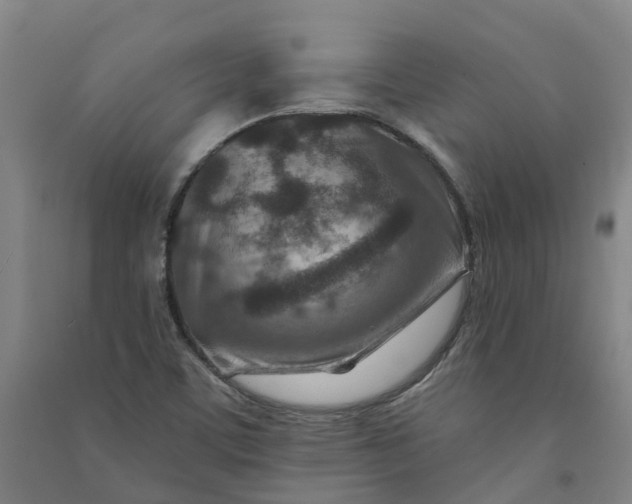 X0000090931459200708201817