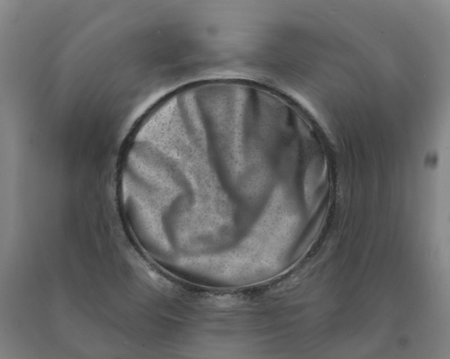 X0000090931460200708201817