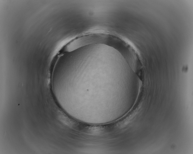 X0000090931461200708201817