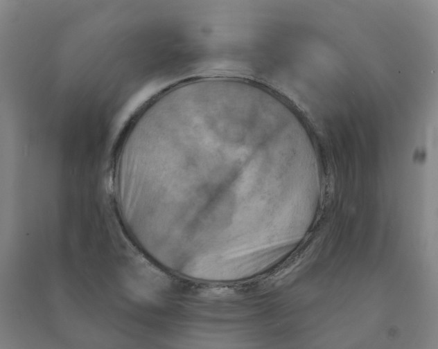 X0000090931462200708201817