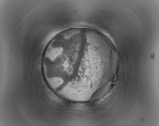 X0000090931463200708201817