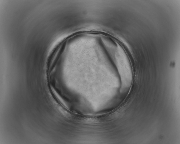 X0000090931464200708201817