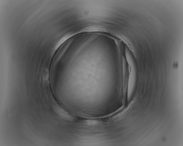 X0000090931465200708201817