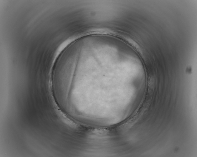 X0000090931466200708201817