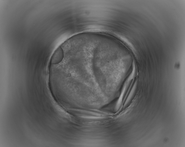 X0000090931467200708201817