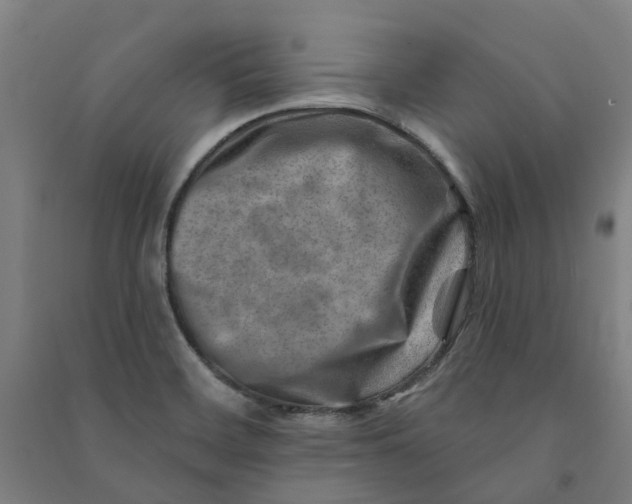 X0000090931468200708201817