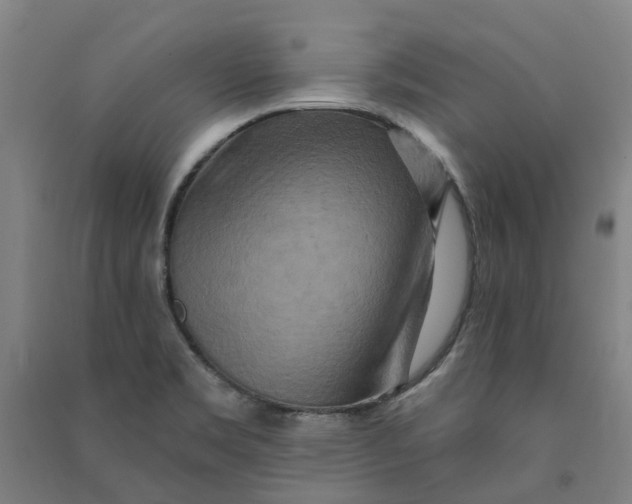 X0000090931469200708201817