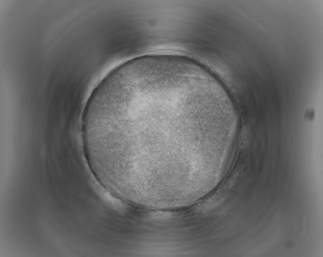 X0000090931470200708201817