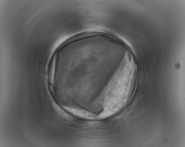 X0000090931471200708201817