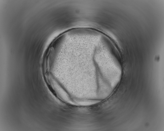 X0000090931472200708201817