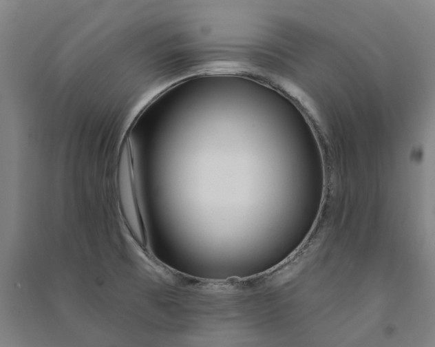 X0000090931473200708201817