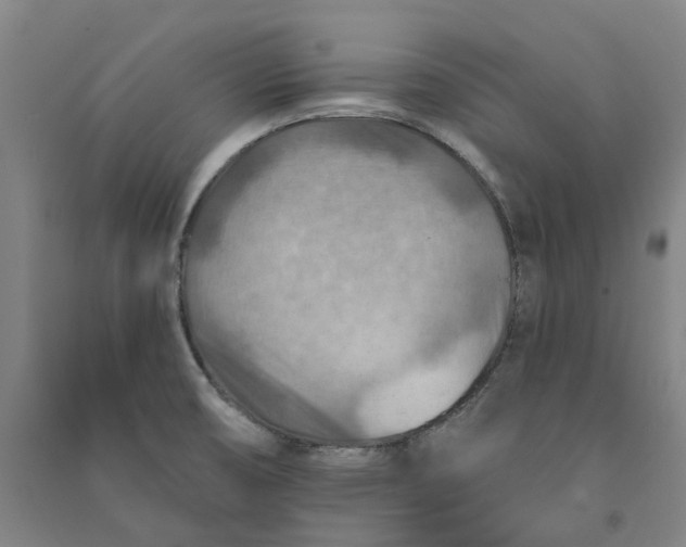 X0000090931474200708201817