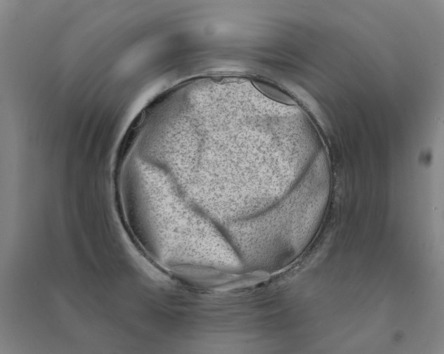 X0000090931475200708201817