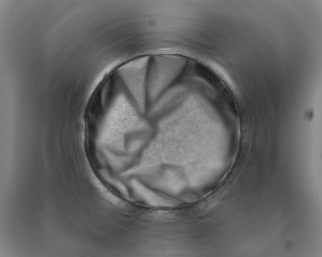 X0000090931476200708201817