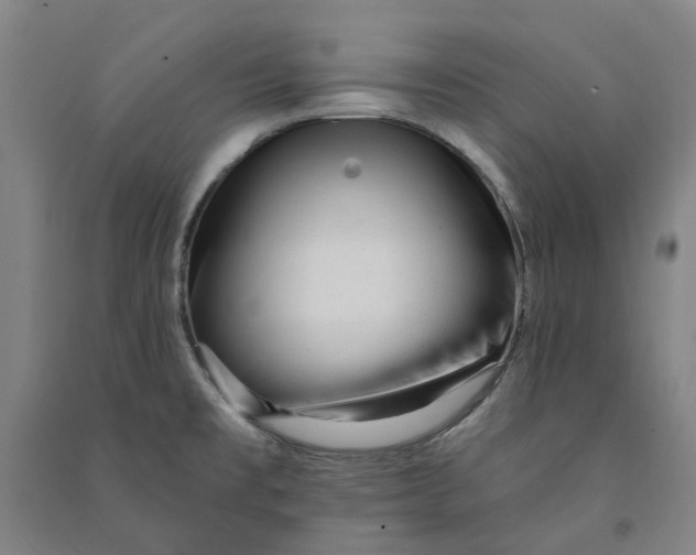 X0000090931477200708201817