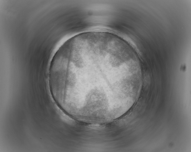 X0000090931478200708201817