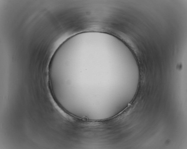 X0000090931479200708201817