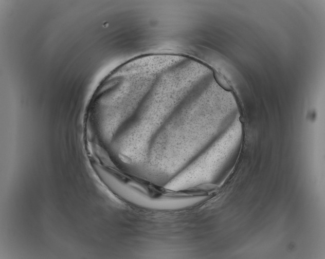 X0000090931480200708201817