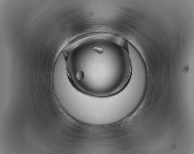 X0000090931481200708201817