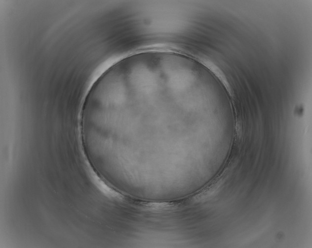 X0000090931482200708201817