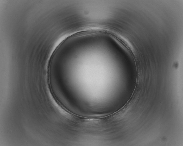 X0000090931483200708201817