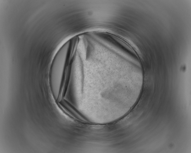 X0000090931484200708201817